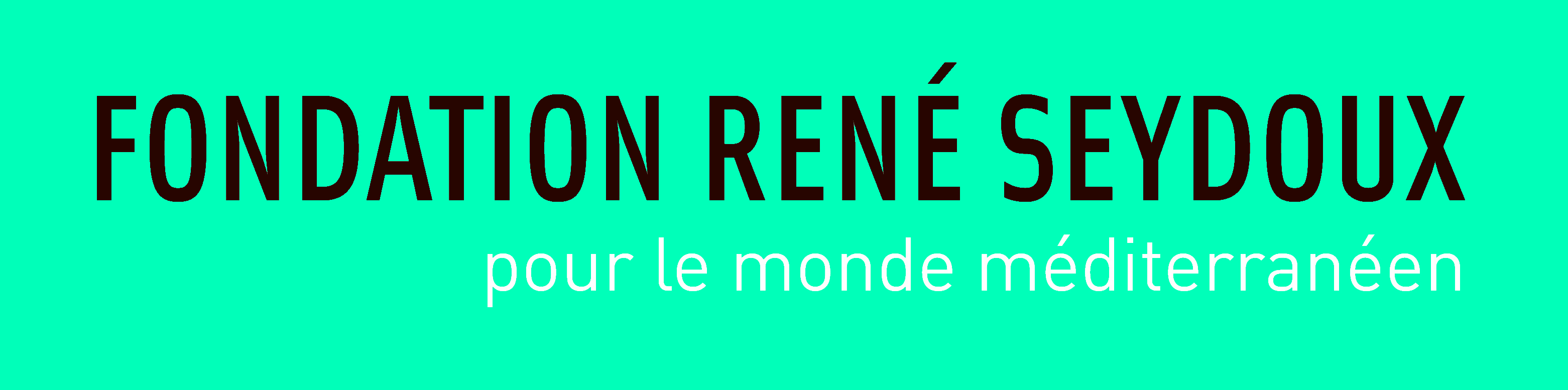 Fondation René Seydoux